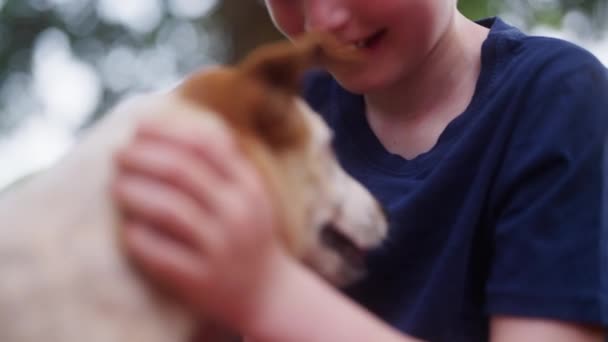 Ένα Κοντινό Πλάνο Ενός Αγοριού Μπλε Πουκάμισο Ένα Σκύλο Γλείφει — Αρχείο Βίντεο