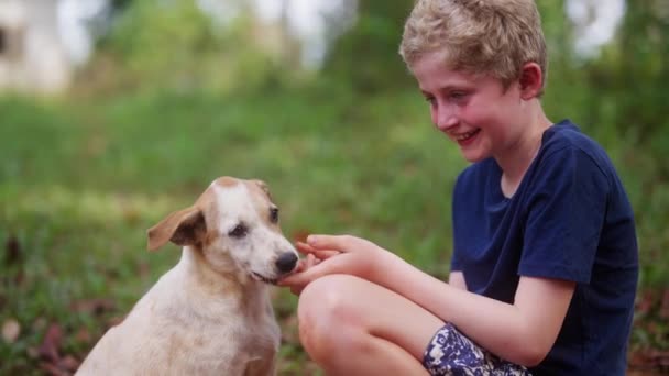 Μια Ημερήσια Λήψη Ενός Αγοριού Ένα Σκύλο Παίζει Δαγκώνει Και — Αρχείο Βίντεο