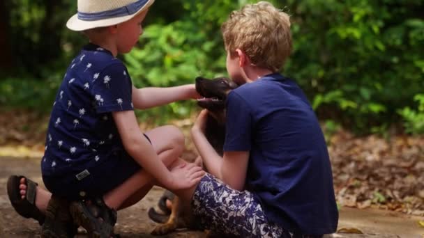 Tiro Diurno Dois Meninos Acariciando Cão Livre Durante Dia Tailândia — Vídeo de Stock