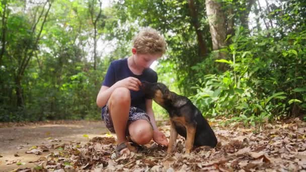 Sebuah Video Anak Laki Laki Memelihara Anak Anjing Duduk Daun — Stok Video
