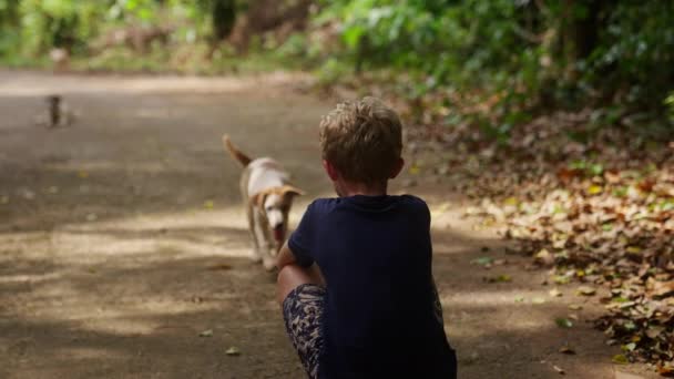 タイで昼間犬が彼の方に歩いている男の子の後ろの景色を示すビデオ — ストック動画