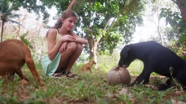 Video Ung Flicka Med Tre Hundar Där Hund Biter Kokosnöt — Stockvideo