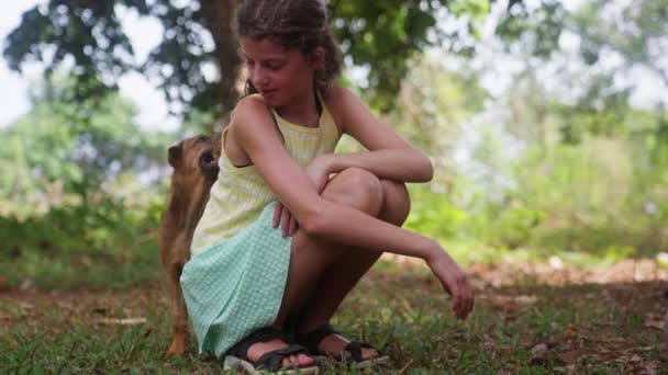 Video Som Visar Ung Flicka Med Hund Som Försöker Spela — Stockvideo