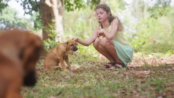 タイの森の中で葉を噛んでいる犬を撫でる少女のビデオ — ストック動画