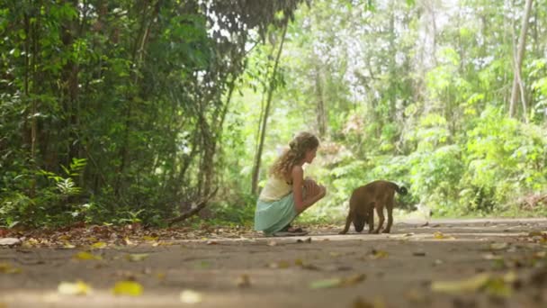 タイの昼間森の中で嗅いでいる犬に触れた若い女の子のビデオ — ストック動画
