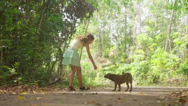 犬が近づいてきてタイの森の中で若い女の子にキスするビデオ — ストック動画