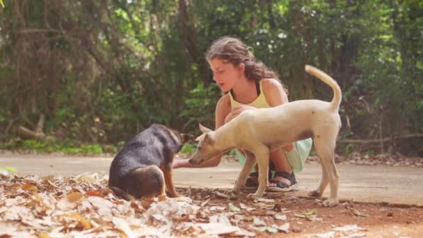 別の犬は彼女の顔をなめる一方 若い女の子は犬をペットタイで昼間 — ストック動画