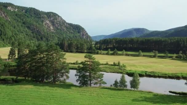 昼間にノルウェーのストリンで緑豊かな風景と蛇行Stryneelva川のドローンショット — ストック動画