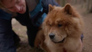 Bir adam yerde Chow Chow köpeğiyle sarılıp yuvarlanıyor.