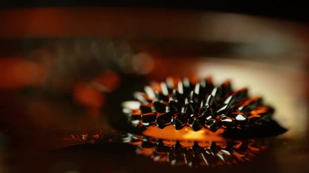 Film Pokazujący Reakcję Ferrofluidu Spowodowaną Polem Magnetycznym — Wideo stockowe
