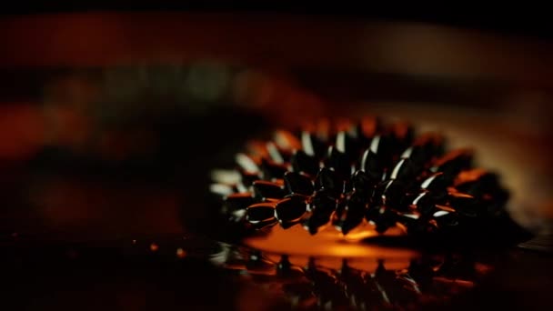 Nagranie Pokazujące Ruch Ferrofluidu Spowodowany Manipulacją Magnetyczną — Wideo stockowe