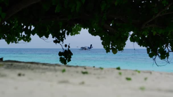 Водный Самолет Плавающий Морю Днем Пляже Мальдивах — стоковое видео
