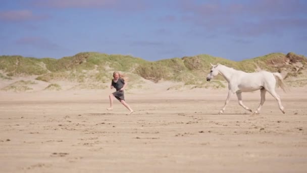 Ein Mädchen Sprintet Mit Ihrem Einhorn Über Das Sonnenverwöhnte Feld — Stockvideo