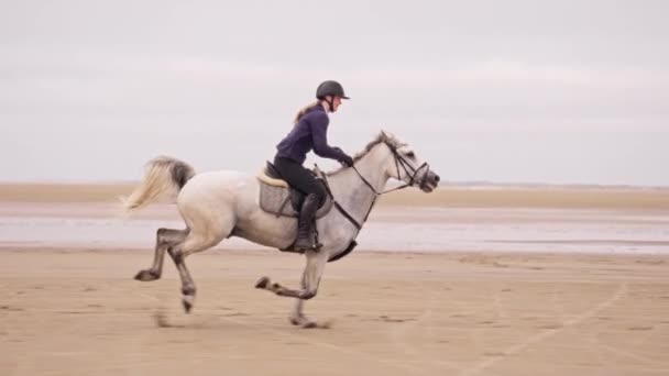 Bred Bild Visar Sidan Långhårig Kvinna Rider Vit Häst Jorden — Stockvideo