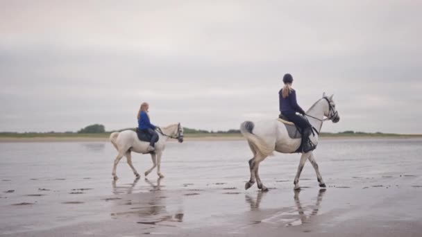 Bred Bild Unga Kvinnor Rider Vita Hästar Våt Mark Lämnar — Stockvideo