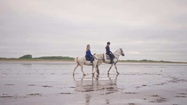 Bred Bild Visar Två Unga Kvinnor Rida Vita Hästar Nära — Stockvideo