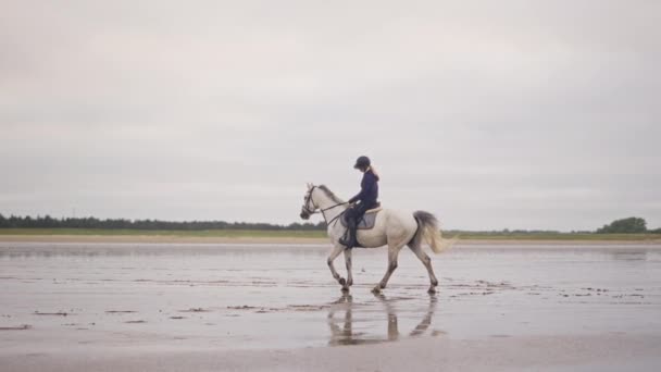 Tiro Largo Mostrando Uma Mulher Cabelos Longos Montando Cavalo Branco — Vídeo de Stock
