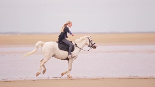 Bred Bild Blond Flicka Rider Vit Häst Med Armarna Sidan — Stockvideo