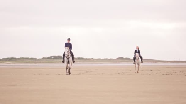 Wide Shot Showing Two Young Women Riding White Horses Sandy — Stock Video
