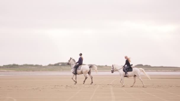 Широкий Снимок Показывающий Двух Молодых Женщин Верхом Белых Лошадях Песчаной — стоковое видео