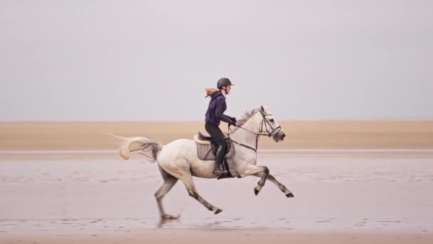 一张宽的照片显示了一位白发女子白天在潮湿的沙地上骑着一匹白马的侧面景象 — 图库视频影像