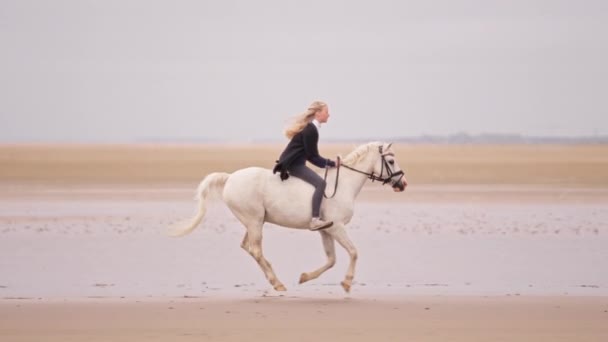 Sidovy Bild Blond Ung Flicka Rider Vit Häst Sandig Jord — Stockvideo