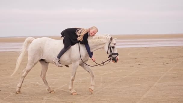 一张宽的照片显示了一个金发碧眼的女孩白天在沙地上高兴地拥抱她的白马 — 图库视频影像