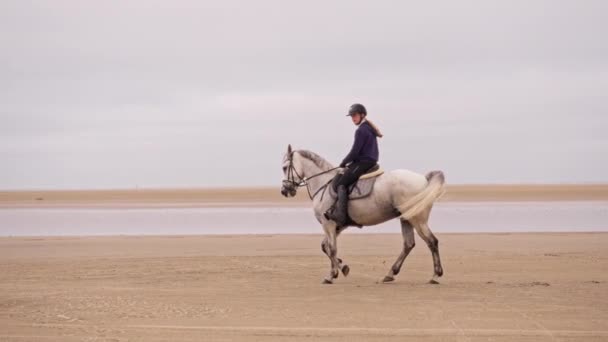 昼間に白い馬に乗って砂地を走る長髪の女性の側面を示す広いショット — ストック動画