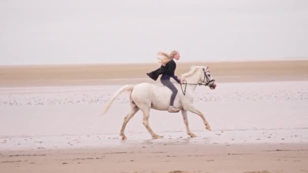 一个金发碧眼的小女孩白天骑着一匹飞驰的白马在潮湿的沙地上疾驰而过时的侧面照 — 图库视频影像