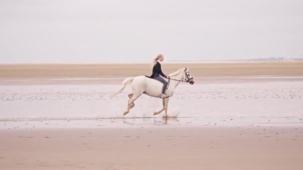 Uma Ampla Vista Lateral Uma Jovem Loira Feliz Montando Cavalo — Vídeo de Stock