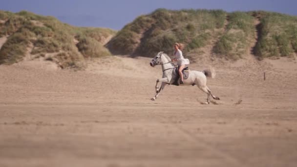 Szeroki Widok Boku Ujęcie Długowłosej Dziewczyny Ujeżdżającej Białego Konia Piaszczystej — Wideo stockowe