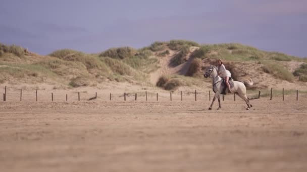 Tiro Largo Uma Menina Cabelos Longos Montando Cavalo Branco Solo — Vídeo de Stock