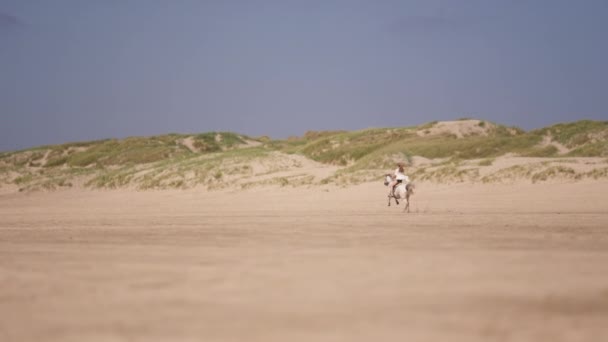 Длинный Снимок Длинноволосой Девушки Скачущей Белом Коне Песчаной Почве Солнечный — стоковое видео