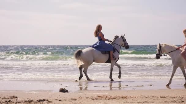 Szerokie Ujęcie Młodych Dziewcząt Jeżdżących Konno Plaży Słoneczny Dzień — Wideo stockowe