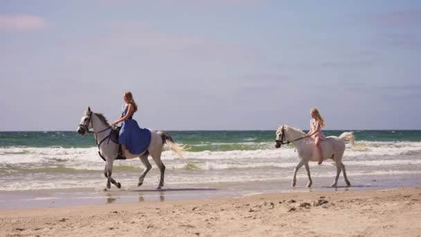 Широкий Знімок Верхової Їзди Молодих Дівчат Пляжі Під Час Сонячного — стокове відео