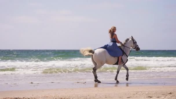 Широкий Знімок Довгошерстої Дівчини Блакитній Сукні Верхи Пляжі Під Час — стокове відео
