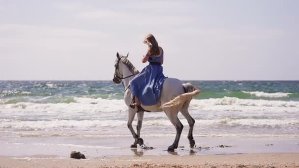 晴れた日にビーチで白い馬に乗って青いドレスに長い髪の少女の広いショット — ストック動画