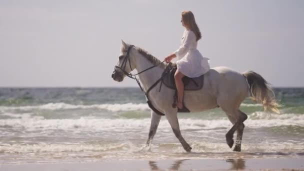 Широкий Бічний Знімок Дівчини Білій Сукні Катається Білому Коні Пляжній — стокове відео