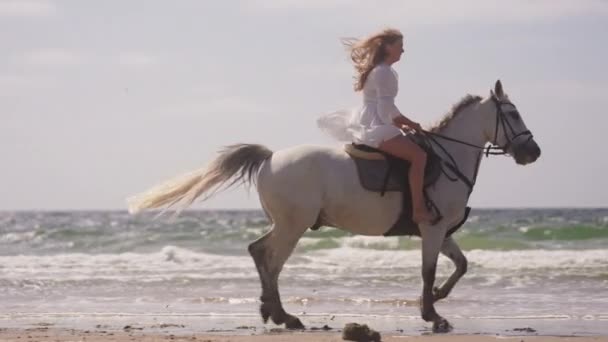 Tiro Largo Uma Menina Morena Vestido Branco Cavalgando Praia Durante — Vídeo de Stock