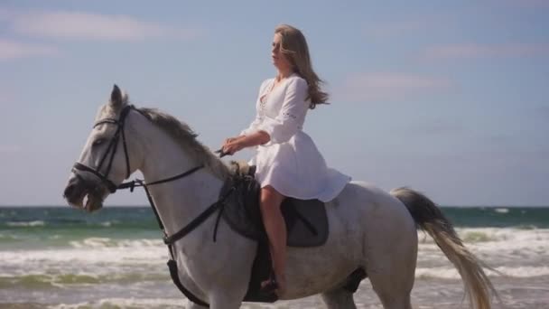 阳光明媚的一天 一个穿着白色衣服骑着马在海滩上的女孩 — 图库视频影像