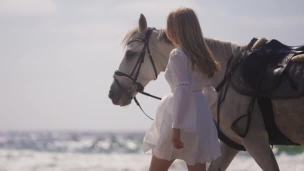 Średnie Ujęcie Dziewczyny Białej Sukience Trzymającej Konia Plaży Słoneczny Dzień — Wideo stockowe
