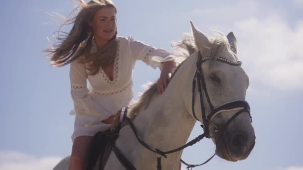 Середній Постріл Дівчини Білій Сукні Погладжуючи Білого Коня Під Час — стокове відео