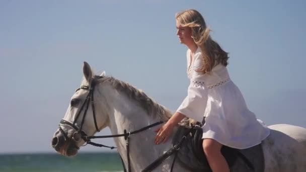 Średnie Ujęcie Dziewczyny Białej Sukience Stukającej Ujeżdżającej Konia Słoneczny Dzień — Wideo stockowe