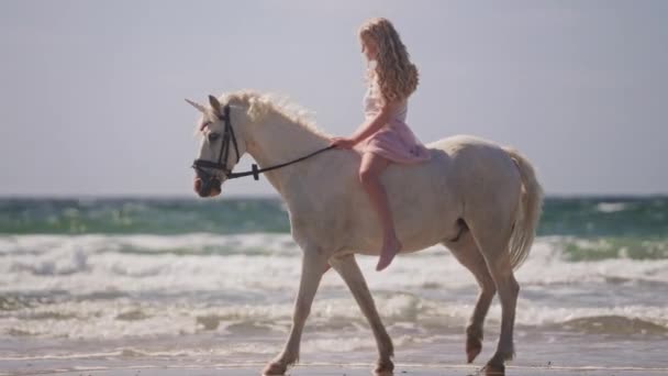 Boční Pohled Záběr Blondýny Dívka Šatech Koni Bílý Jednorožec Pláži — Stock video