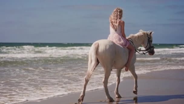 Une Vue Arrière Large Prise Une Fille Blonde Dans Une — Video