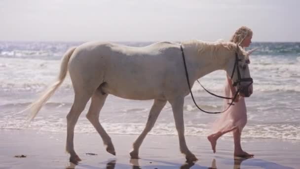 Sarışın Bir Kızın Tek Boynuzlu Atın Dizginlerini Tutarken Gündüz Vakti — Stok video