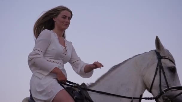 Medium Shot Woman Riding White Horse Caressing Light Blue Sunset — Stock Video