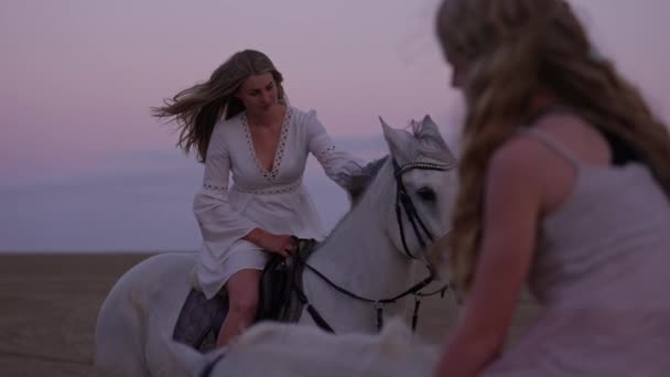 Tiro Médio Duas Meninas Acariciando Seus Cavalos Brancos Durante Pôr — Vídeo de Stock
