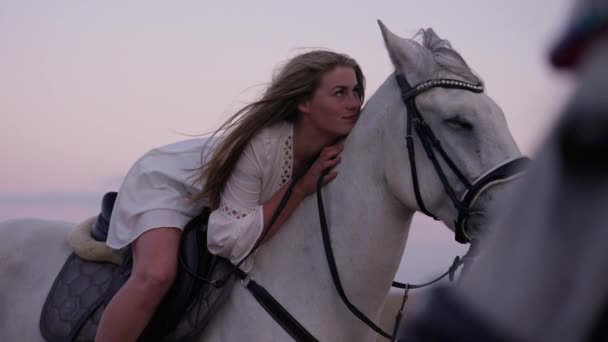 Dziewczyna Czule Okazuje Swoje Uczucie Białego Konia Okazując Swoją Miłość — Wideo stockowe