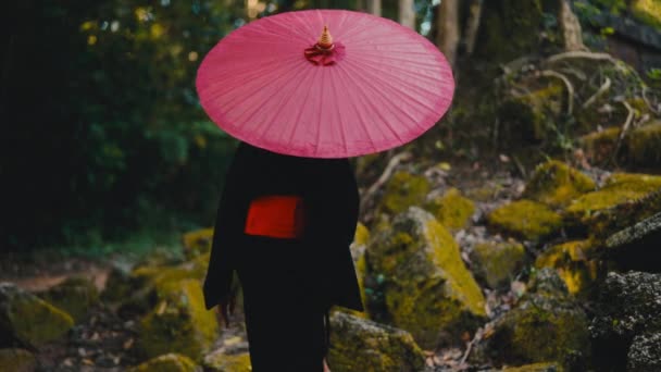 赤い傘を持って黒い着物に飾られた女性は モスに覆われた岩の上に優雅なステップを取ります — ストック動画